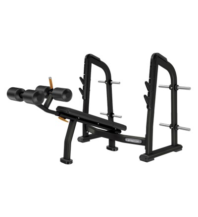 Dbr0611 Rack Benches&Racks-僑泰鑫健康- 划船機、室內滑雪機、商用跑步機、健身房規劃、皮拉提斯器材、皮拉提斯器械床